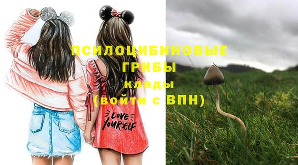 кристаллы Лабытнанги
